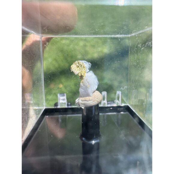 Gold on Quartz - Natural California Gold Specimen in Perky Display Box - #12 - Picture 8 of 9